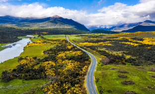 A road winding through New Zealand
