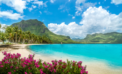 A tropical island beach with flowers in the foreground